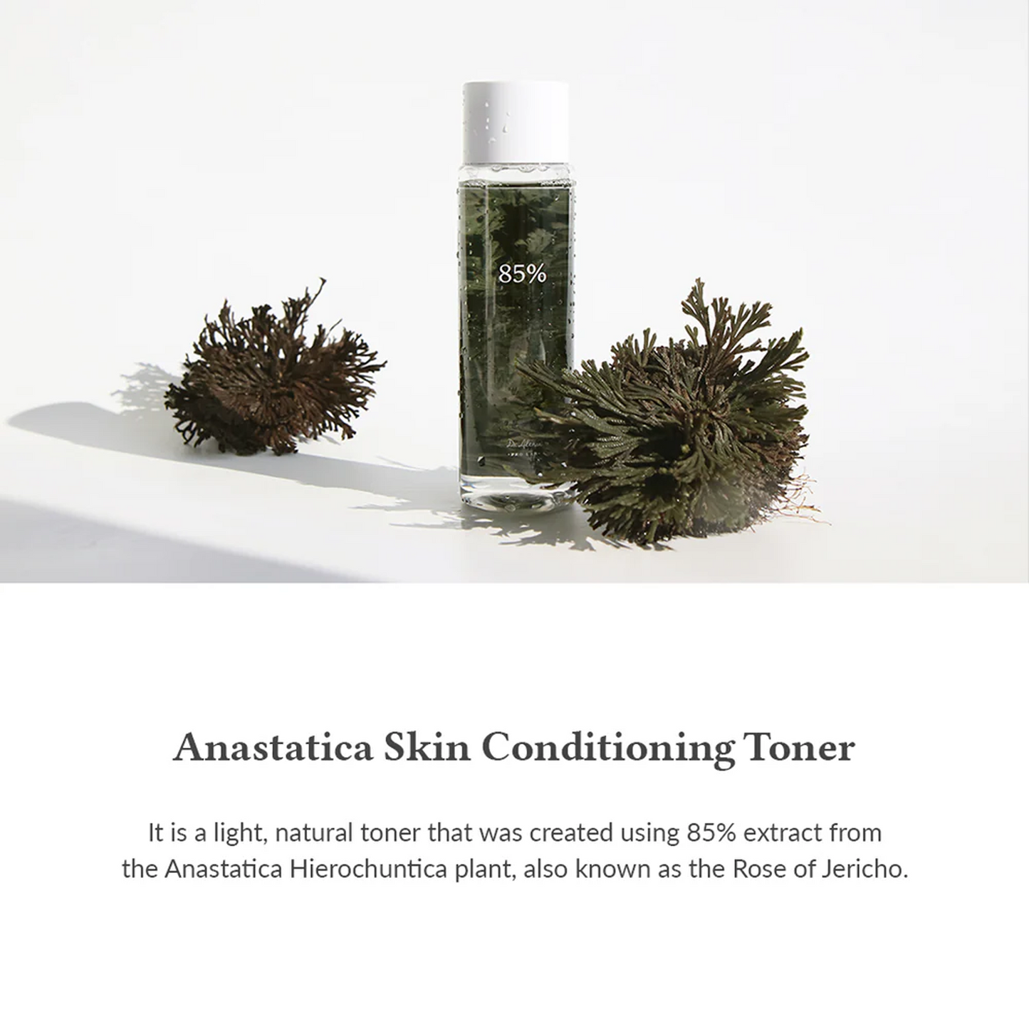 Dr. Althea Anastatica Skin Conditioning Toner - 250ml