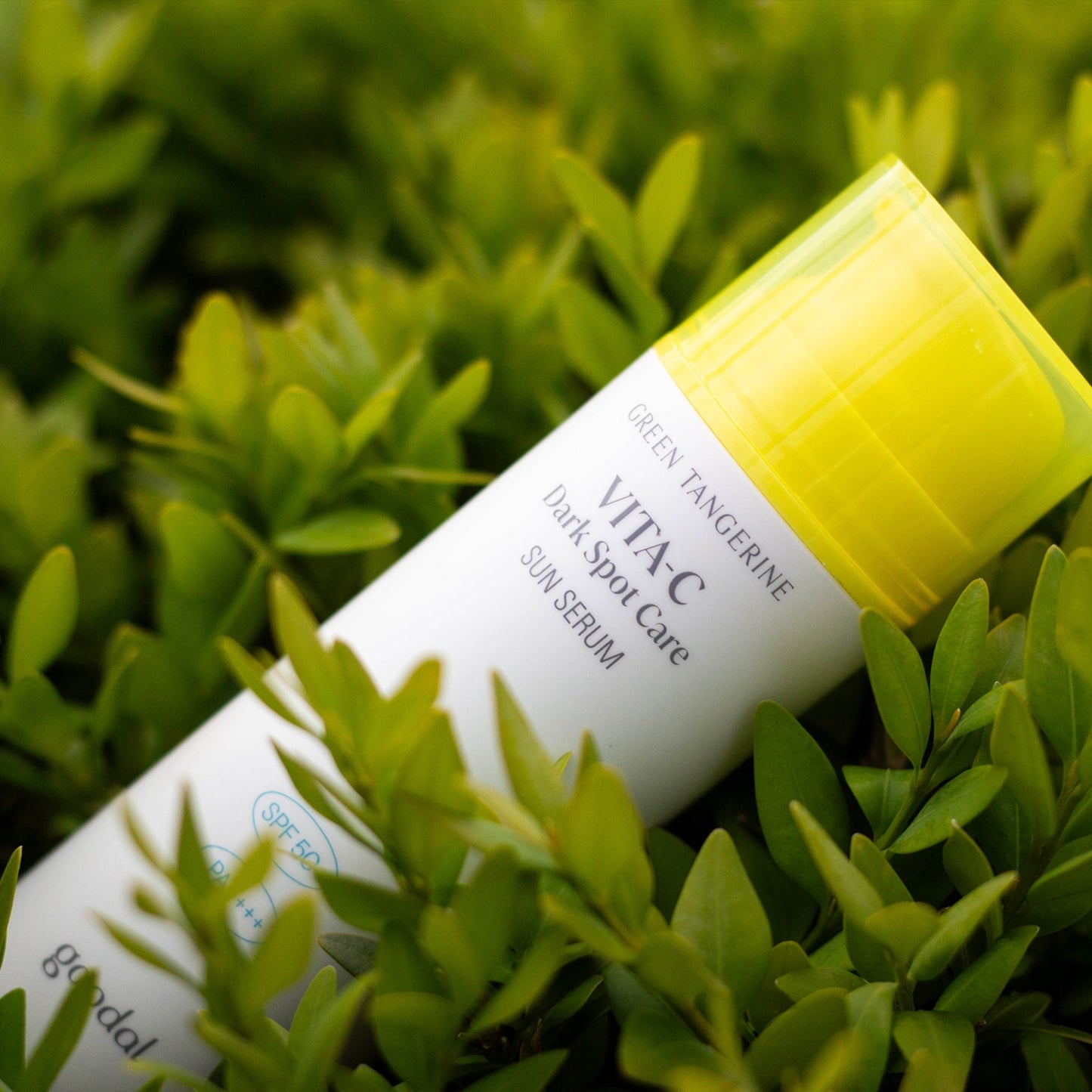 Goodal Green Tangerine Vita-C Dark Spot Care Sun Serum - 50ml